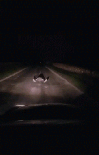 A Car Is Driving Down A Road At Night With The Words " I 'M Still Alive " Above It GIF