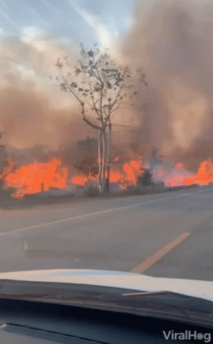 A Car Is Driving Down A Road With A Fire In The Background And The Word Viralhog On The Hood GIF