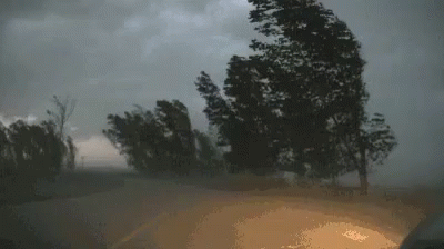 A Car Is Driving Down A Road With Trees Blowing In The Wind In A Storm . GIF