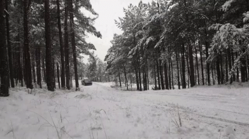 A Car Is Driving Down A Snowy Road In The Woods . GIF