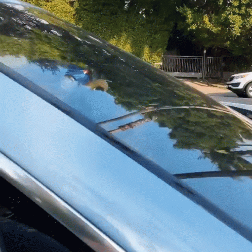 A Car Is Parked In Front Of A Fence With Trees Reflected In The Windshield GIF