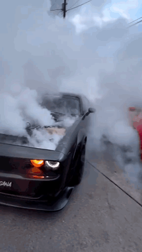 A Car With A License Plate That Says Gina GIF