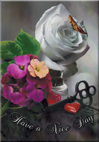A Card That Says Have A Nice Day GIF