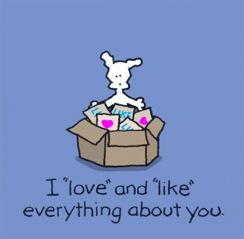 A Card That Says " I Love And Like Everything About You " On It GIF