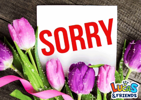 A Card That Says Sorry With Purple Tulips In The Background GIF