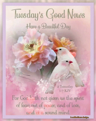 A Card That Says Tuesday 'S Good News Have A Beautiful Day On It GIF