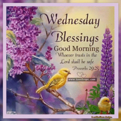 A Card That Says Wednesday Blessings Good Morning Whoever Trusts In The Lord Shall Be Safe GIF