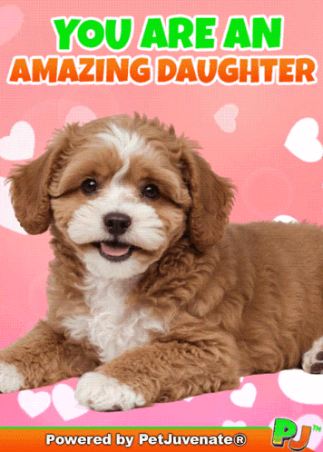 A Card That Says You Are An Amazing Daughter With A Brown And White Dog GIF