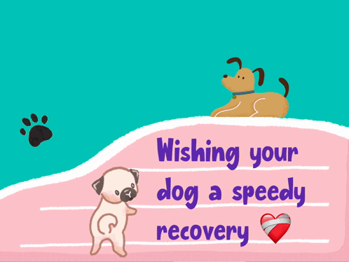 A Card With A Dog And The Words Wishing Your Dog A Speedy Recovery On It GIF