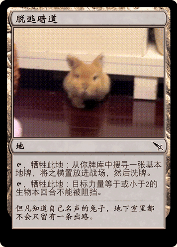 A Card With A Picture Of A Rabbit On It GIF