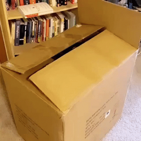 A Cardboard Box Has The Word Description On It GIF