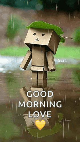 A Cardboard Box With A Green Leaf On Its Head Is In The Water With The Words Good Morning Love Below It GIF