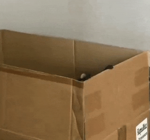 A Cardboard Box With A Label On It That Says ' Fragile ' On It GIF