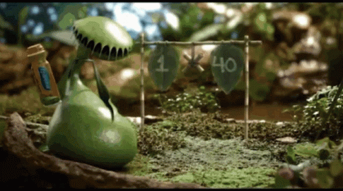 A Carnivorous Plant Is Standing Next To A Sign That Has The Number 40 On It GIF