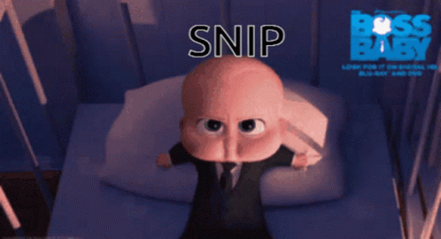 A Cartoon Baby Is Crying With Snip Written On Its Head GIF