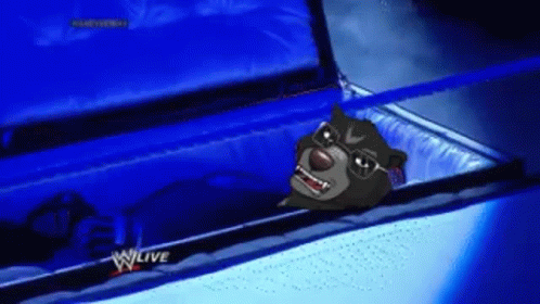 A Cartoon Bear Is In A Coffin With A W Live Logo GIF