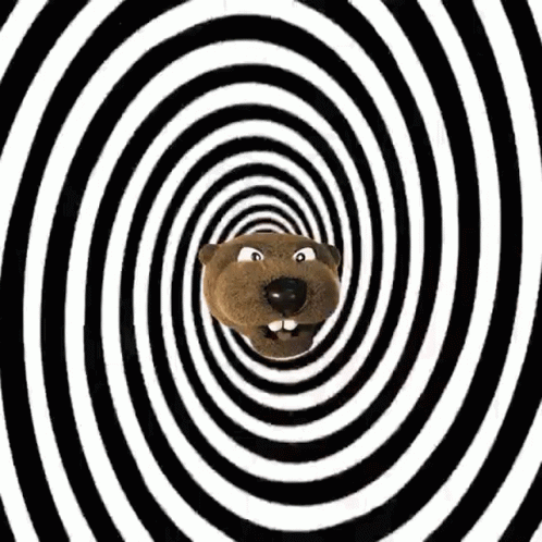 A Cartoon Beaver Is Going Through An Optical Illusion In A Spiral . GIF