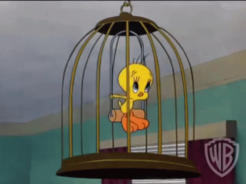A Cartoon Bird Is Sitting In A Cage With A Stick . GIF