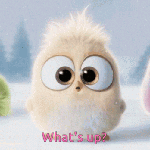 A Cartoon Bird With Big Eyes Is Asking What 'S Up . GIF