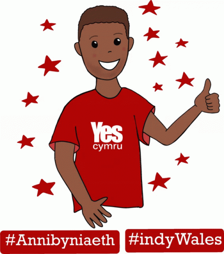 A Cartoon Boy Wearing A Red Yes Cymru Shirt Gives A Thumbs Up GIF