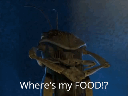 A Cartoon Bug Is Asking Where 'S My Food . GIF