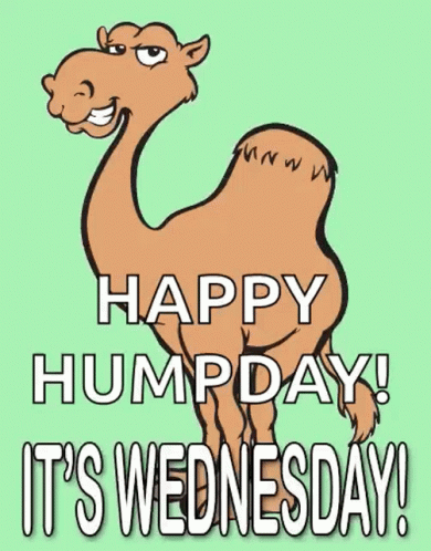 A Cartoon Camel Is Smiling And Says Happy Hump Day It 'S Wednesday ! GIF