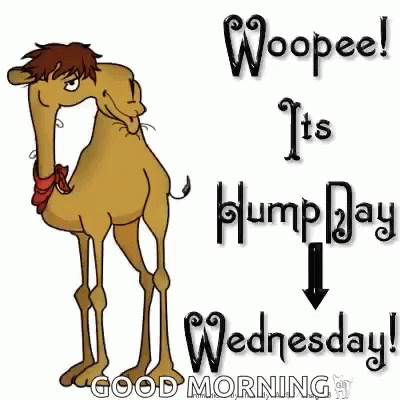 A Cartoon Camel With The Words `` Woopeel It 'S Hump Day ! '' GIF