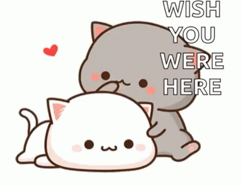 A Cartoon Cat And A White Cat Are Sitting Next To Each Other And The Cat Is Holding The White Cat 'S Head . GIF