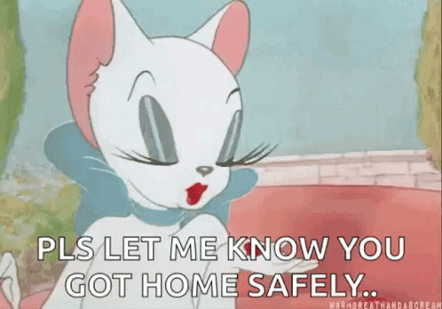 A Cartoon Cat Is Blowing A Kiss While Saying `` Pls Let Me Know You Got Home Safely '' . GIF