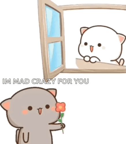 A Cartoon Cat Is Holding A Flower And Looking Out Of A Window At Another Cat . GIF