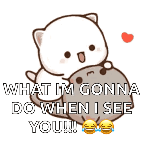 A Cartoon Cat Is Hugging Another Cat With The Words What Im Gonna Do When I See You GIF