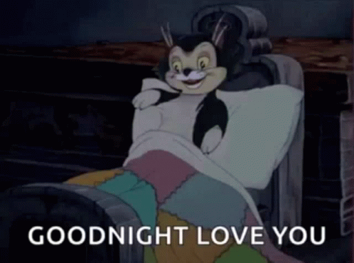 A Cartoon Cat Is Laying In A Bed With The Words Goodnight Love You Written Below It . GIF