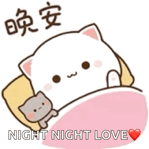 A Cartoon Cat Is Laying In A Bed With The Words Night Night Love Written Above It GIF
