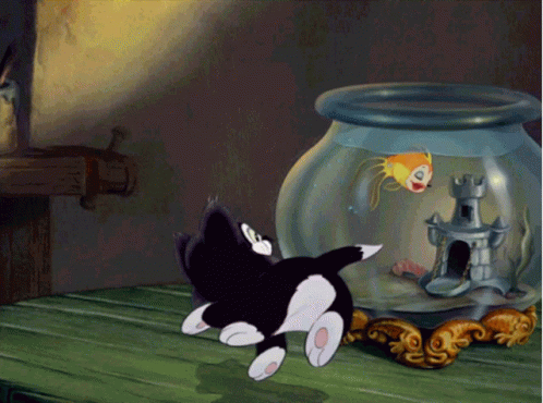 A Cartoon Cat Is Looking At A Fish In A Fish Bowl GIF