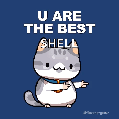 A Cartoon Cat Is Pointing At The Words U Are The Best Shell GIF