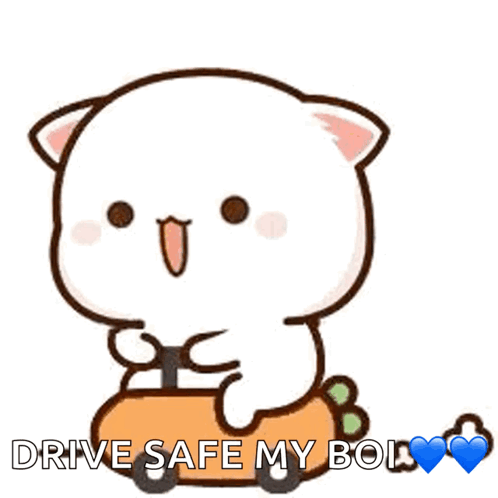 A Cartoon Cat Is Sitting On A Carrot With The Words " Drive Safe My Boi " Below It GIF