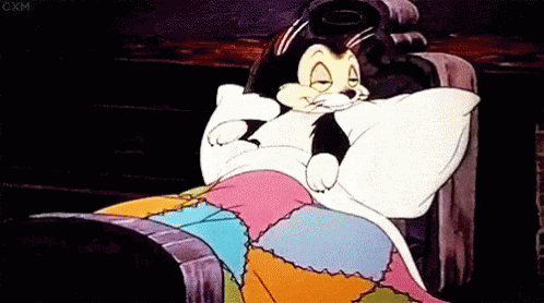 A Cartoon Cat Is Sleeping In A Bed With A Colorful Quilt . GIF