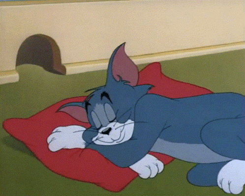 A Cartoon Cat Is Sleeping On A Red Pillow On The Floor GIF