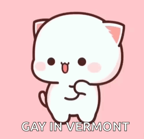 A Cartoon Cat Is Standing On A Pink Background With The Words `` Gay In Vermont '' . GIF