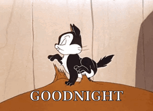 a cartoon cat is standing on a rock with the words goodnight below it .