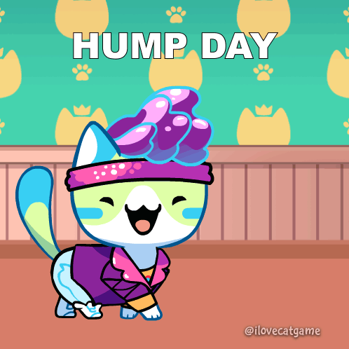 A Cartoon Cat Is Wearing A Headband And Sunglasses And Says Hump Day GIF