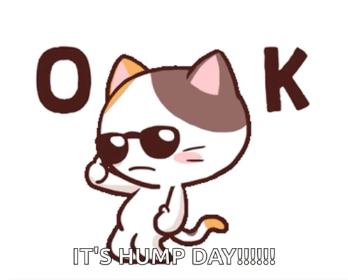 A Cartoon Cat Is Wearing Sunglasses And Says " It 'S Hump Day " GIF