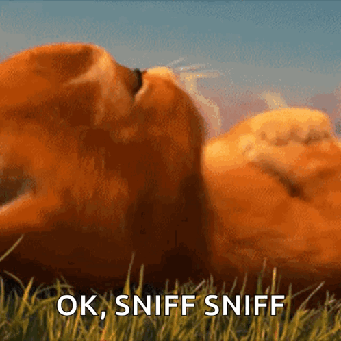 A Cartoon Cat Laying In The Grass With The Words Ok Sniff Sniff Written Below It GIF
