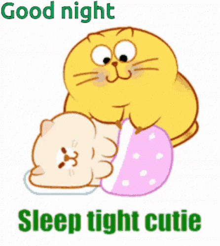 A Cartoon Cat Laying On Top Of Another Cat With The Words " Good Night Sleep Tight Cutie " Below It GIF