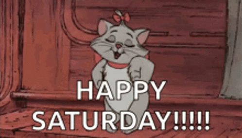 A Cartoon Cat Says Happy Saturday On A Red Background GIF