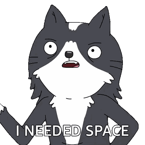 a cartoon cat says " i needed space " in front of a white background