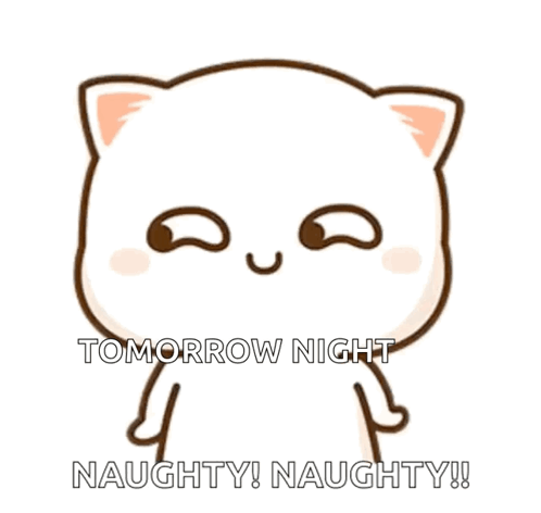 A Cartoon Cat Says Tomorrow Night Naughty And Naughty GIF