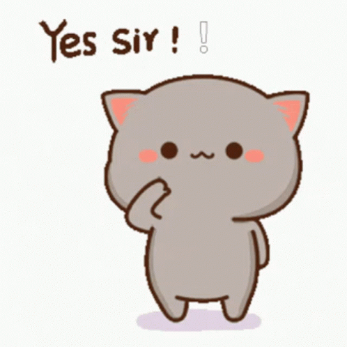 A Cartoon Cat Says Yes Sir While Standing On A White Background GIF