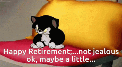 A Cartoon Cat Sits On A Pillow With The Words Happy Retirement Not Jealous Ok Maybe A Little On The Bottom GIF
