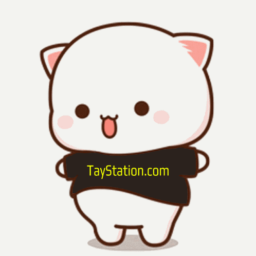 A Cartoon Cat Wearing A Black Shirt With Taystation.com On It GIF